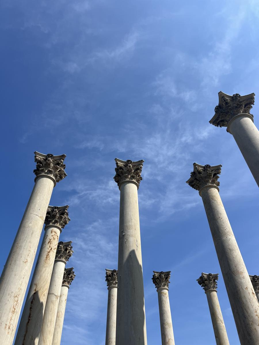 National Arboretum DC - Cami