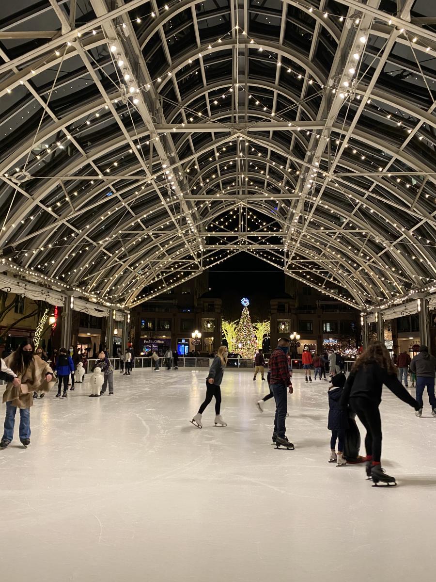 Reston Town Center Ice Skating