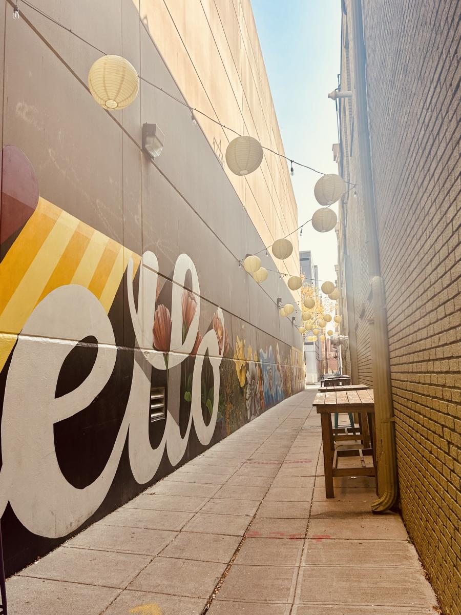 One of Fort Wayne’s alley ways with a mural and lights
