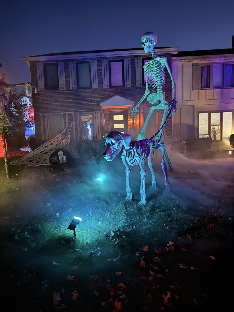 Halloween Lights Display at 12019 Weigela Court, Fort Wayne