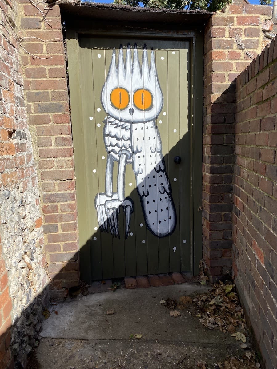 Owl Street Art in Chichester