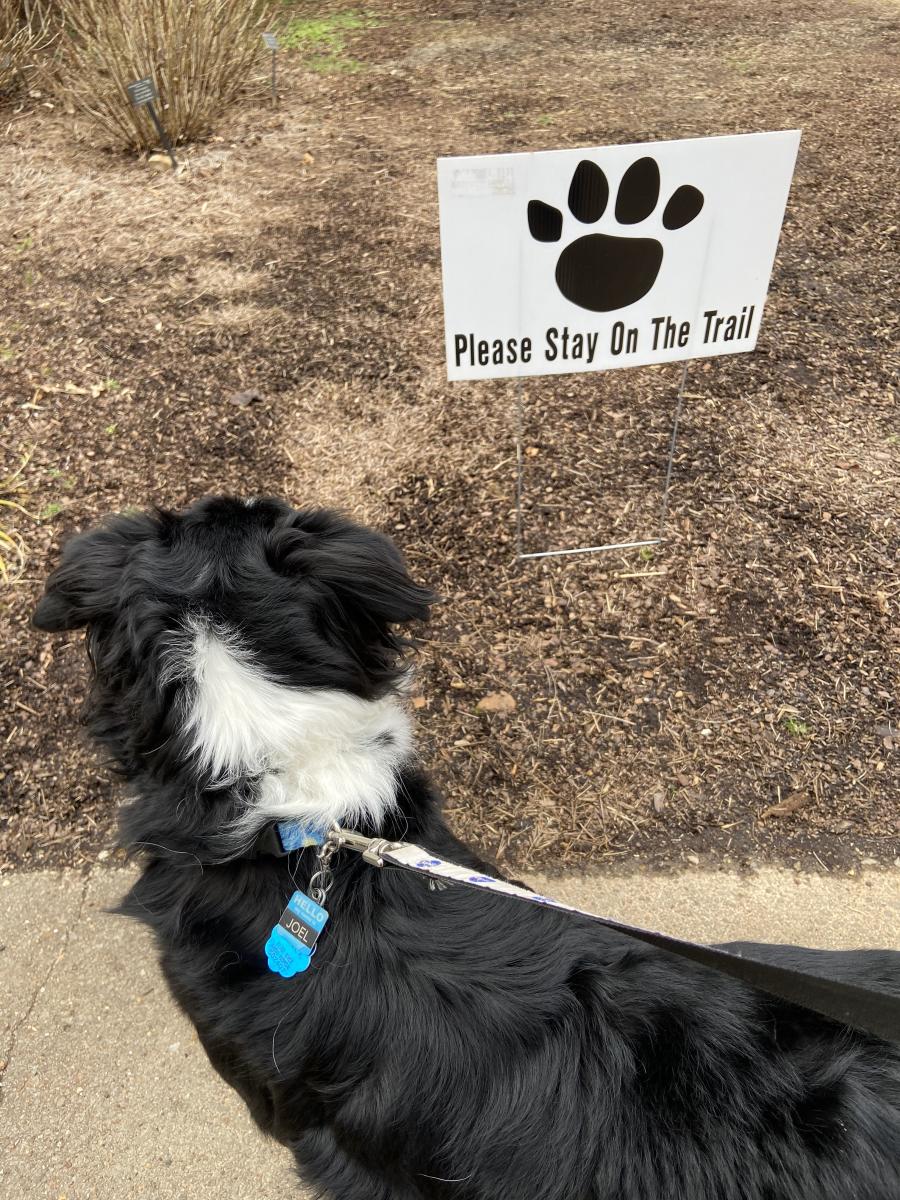 Huntsville Botanical Garden Dog Days