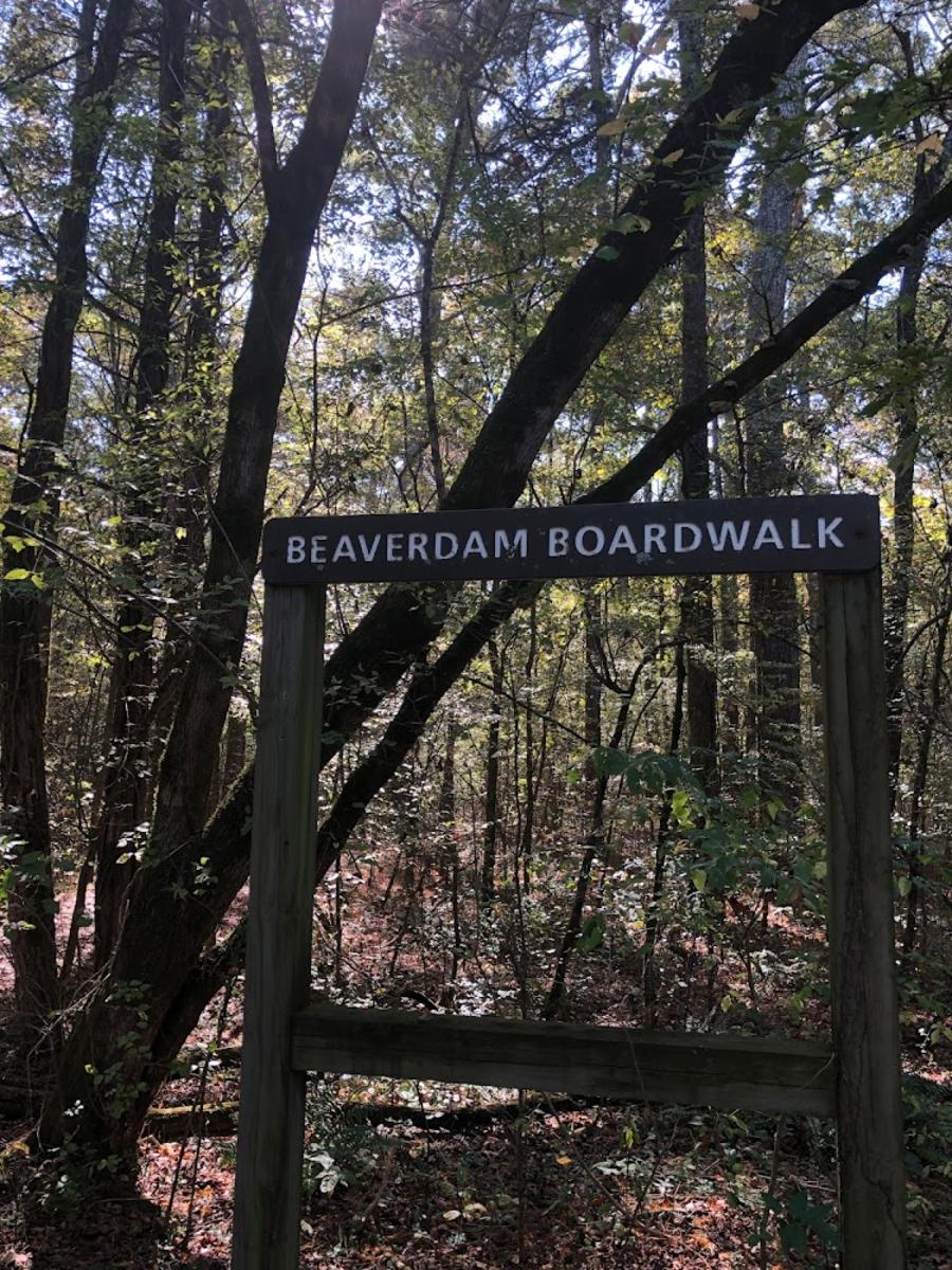 beaverdam boardwalk