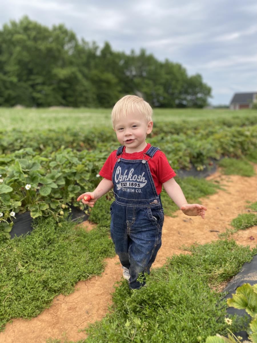 Brown Farms Strawberries