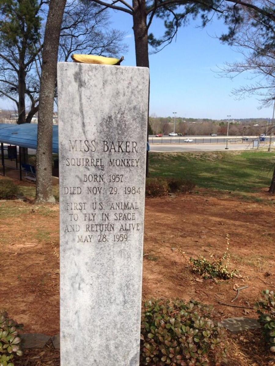 Miss Baker Grave