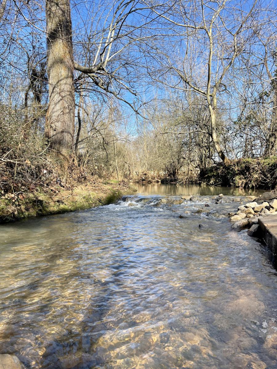 Creek Stomping Indian creek Greenway