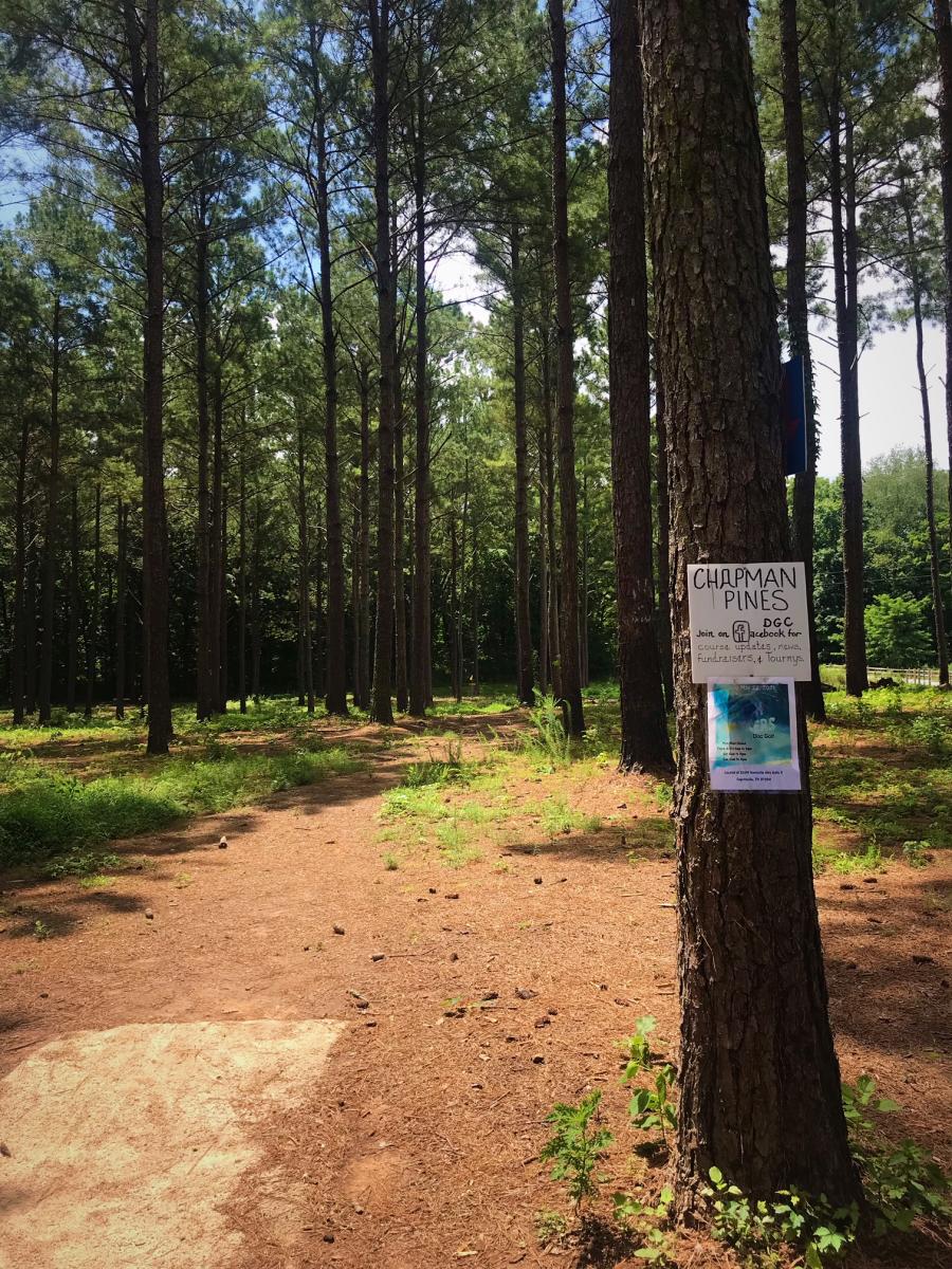 Chapman Mountain Disc Golf