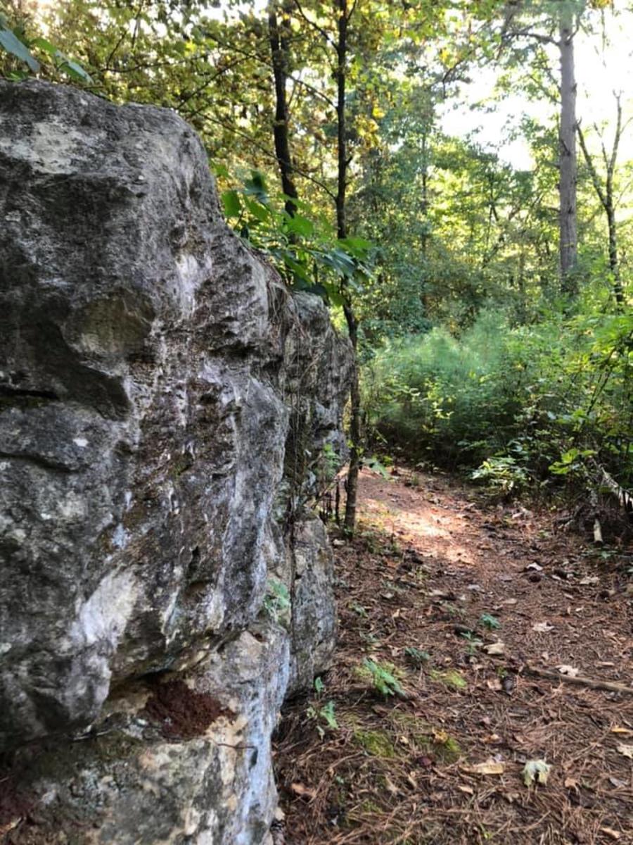 Chapman Mountain Driskell Trail