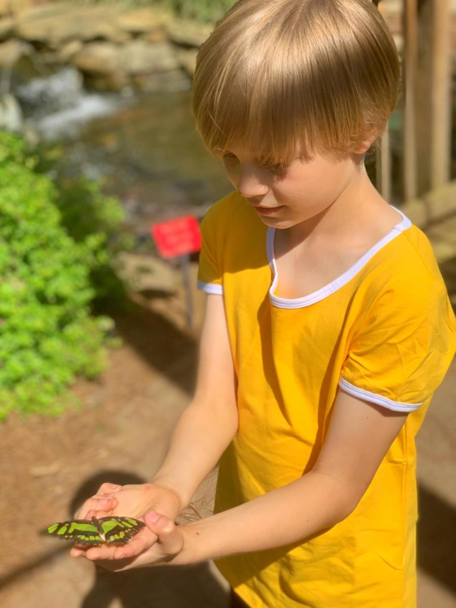 Purdy Butterfly House - Huntsville Botanical Garden