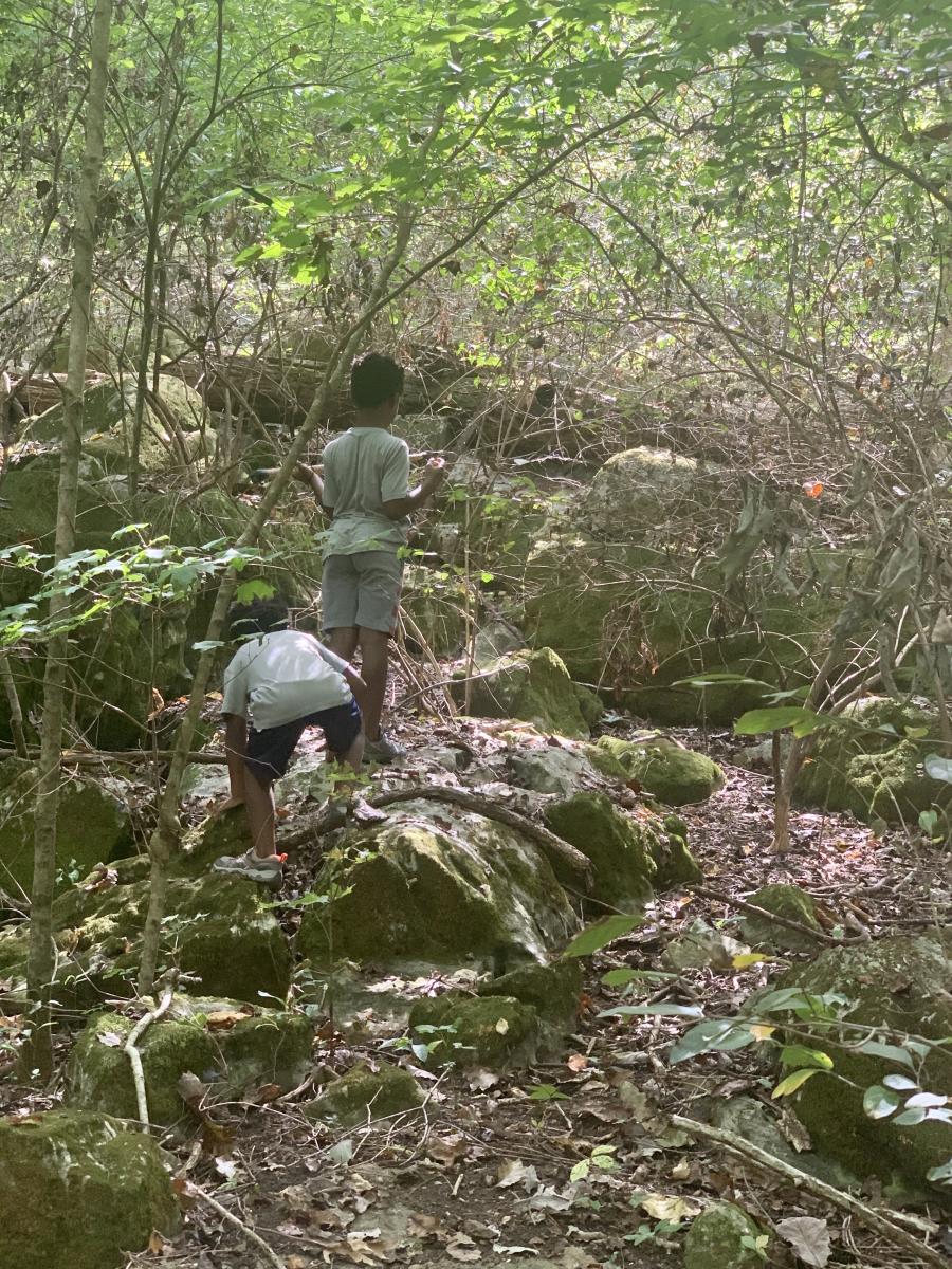 Chapman Mountain