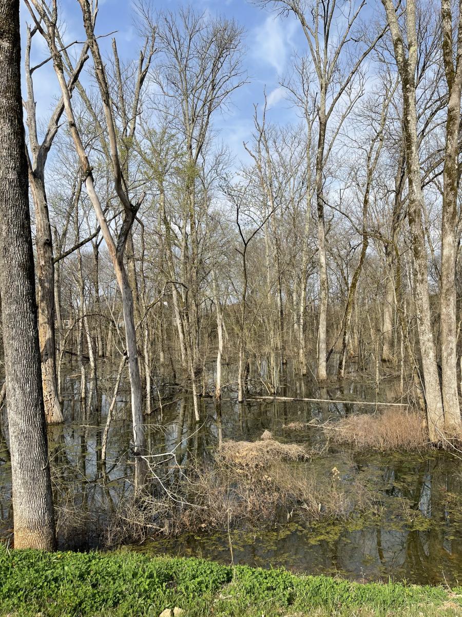 Singing River Trail Elgies Greenway SRT