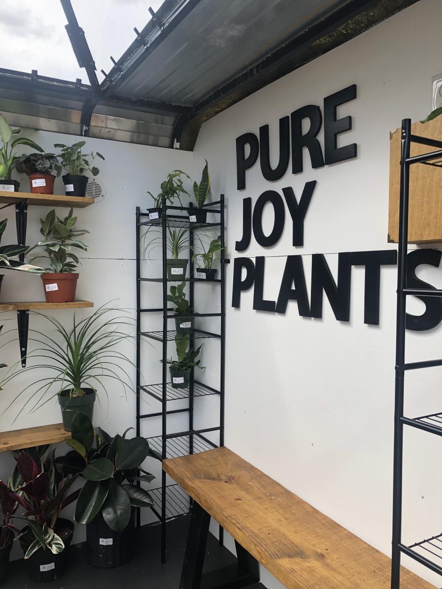 Pure Joy Plants