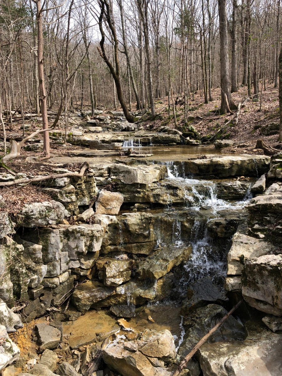 Jones Valley Loop View Blevins Gap Preserve