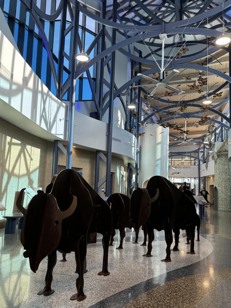 Buffalo sculptures