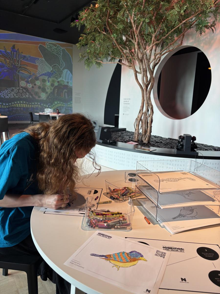 “Connection: Land, Water, Sky – Art & Music from Indigenous Australians LUME activity room Newfields Indianapolis