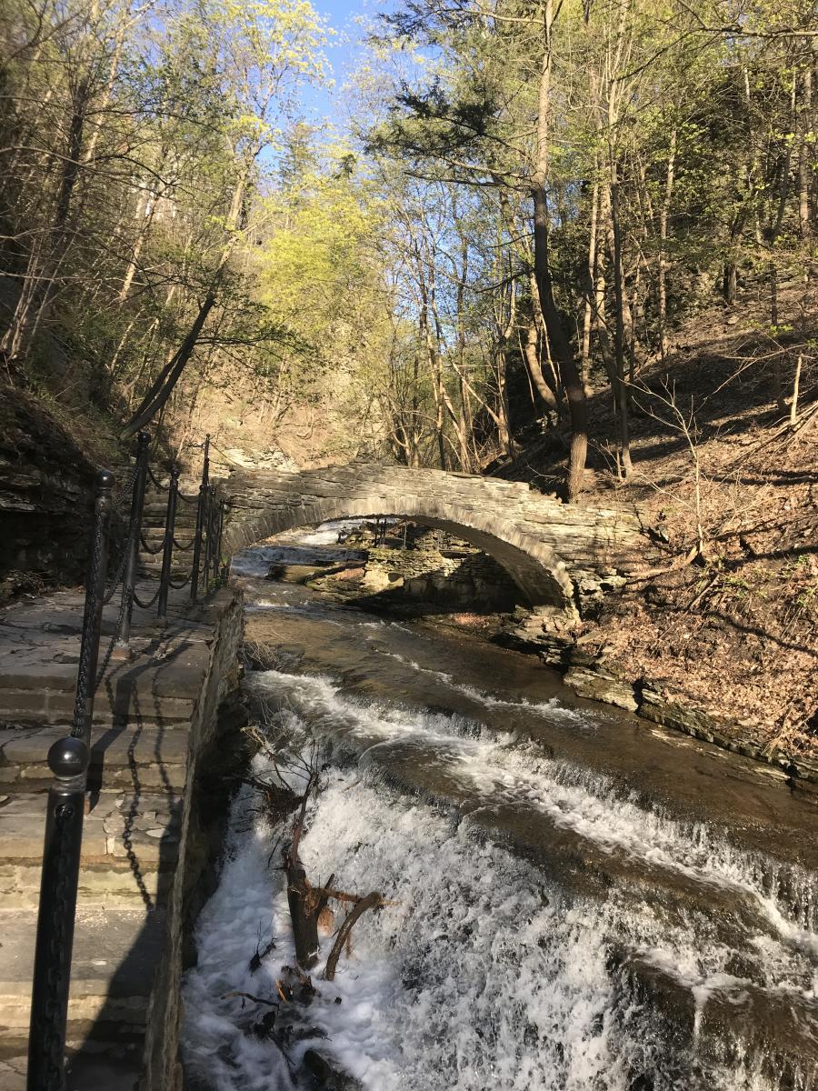 Cascadilla Gorge