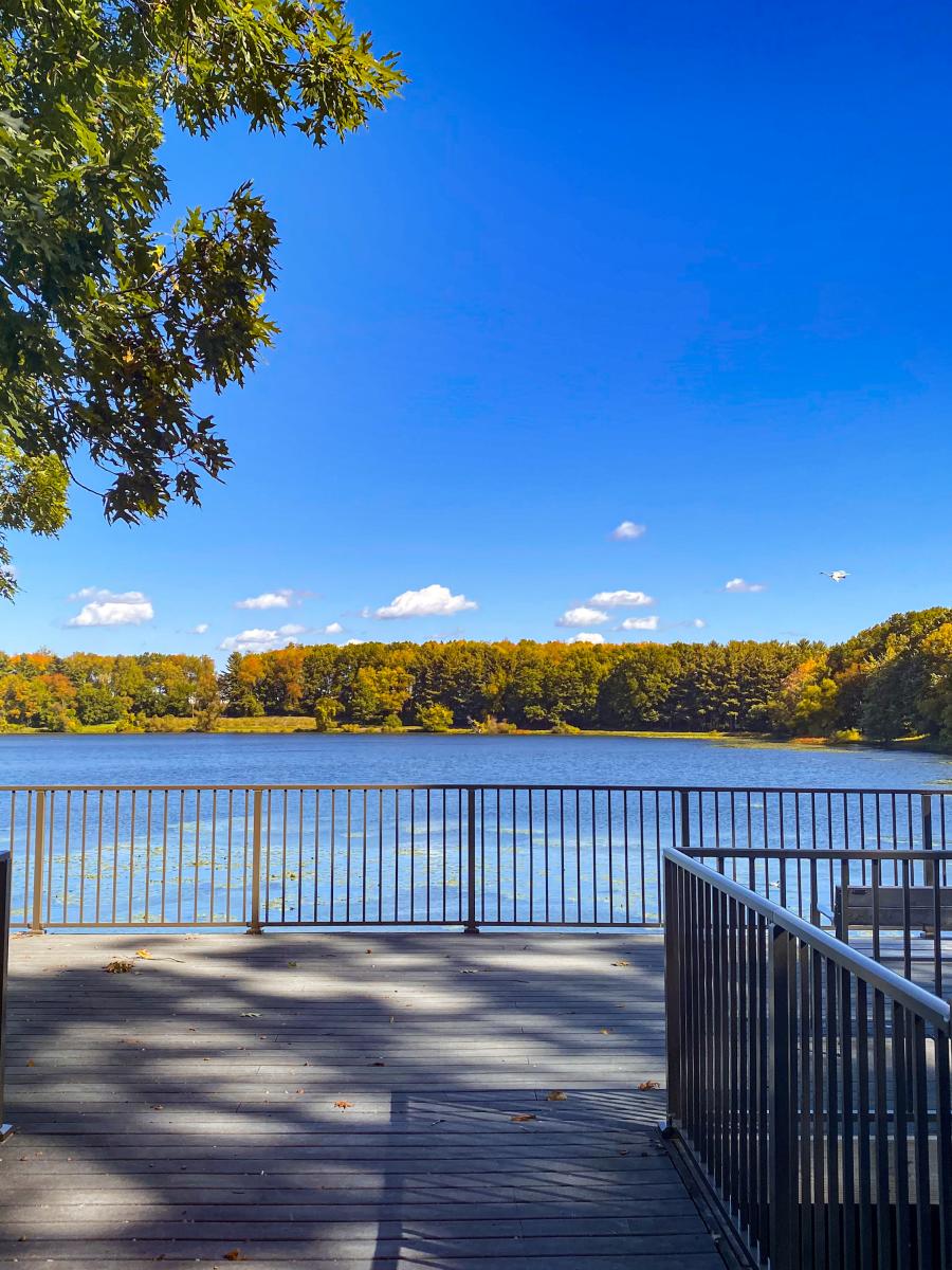 Viewing deck at Kellogg Bird Sanctuary