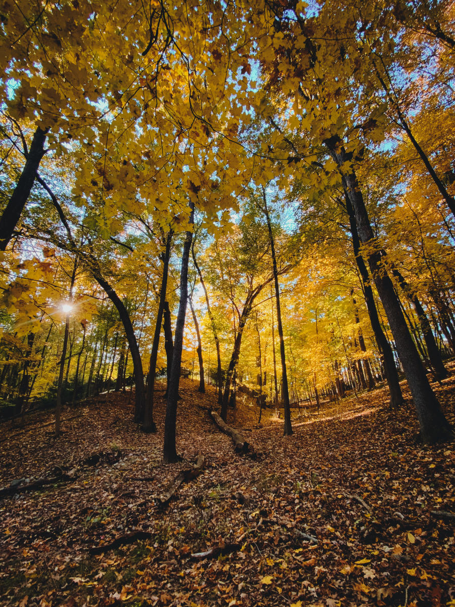 Kleinstuck Nature Preserve