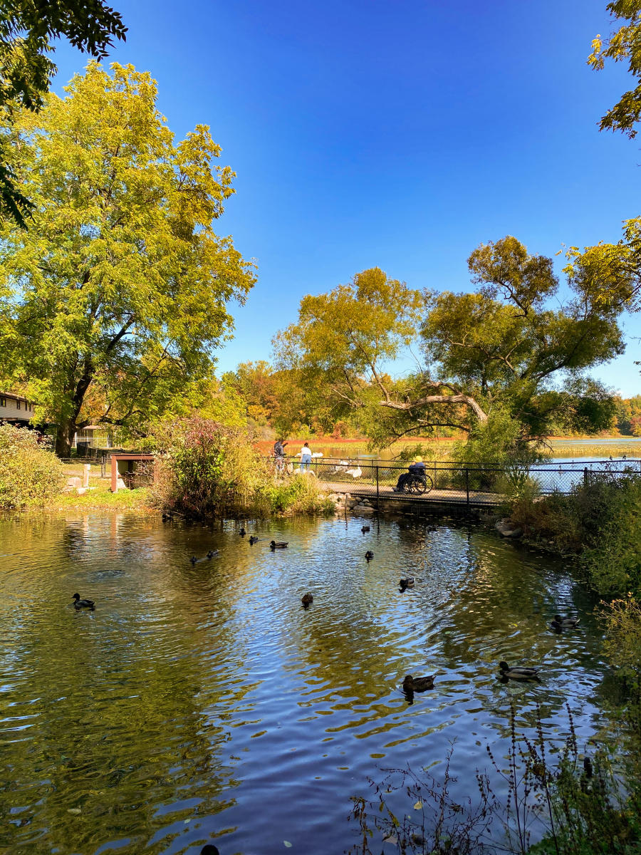 Kellogg Bird Sanctuary