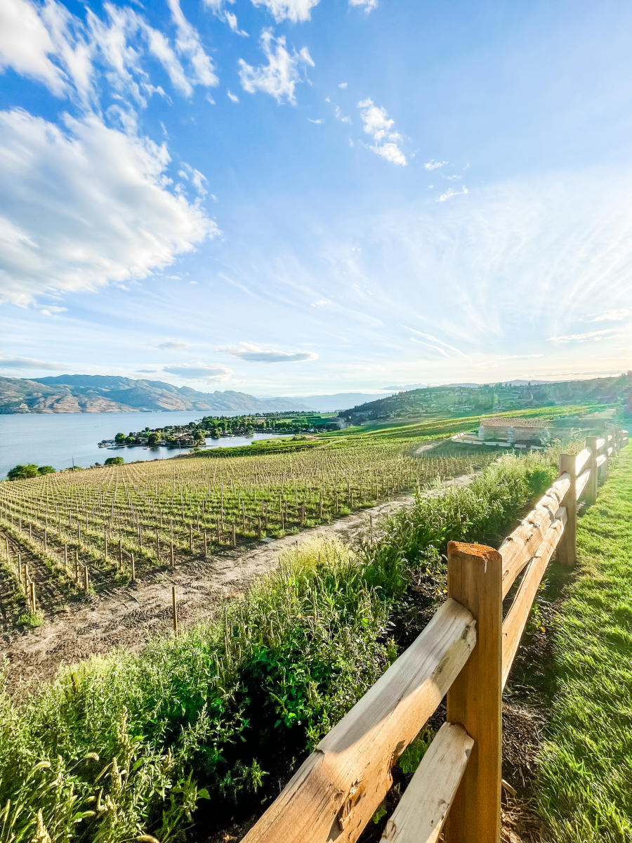 Quails' Gate Winery by @emilydharrison