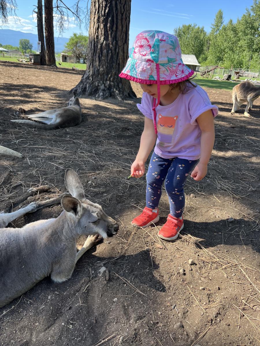 Kid with Kangaroo at Kangaroo Creek Fark