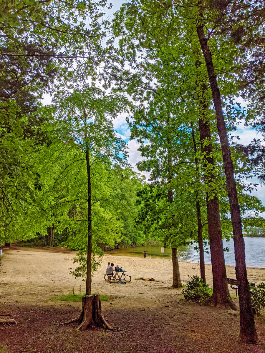 Jetton Park Beach Area