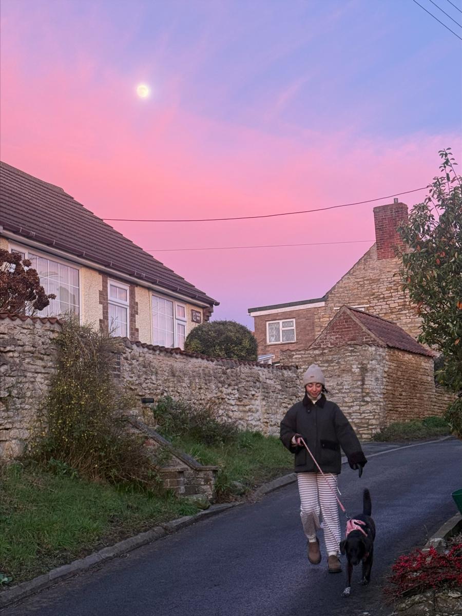 Dog friendly Lincoln