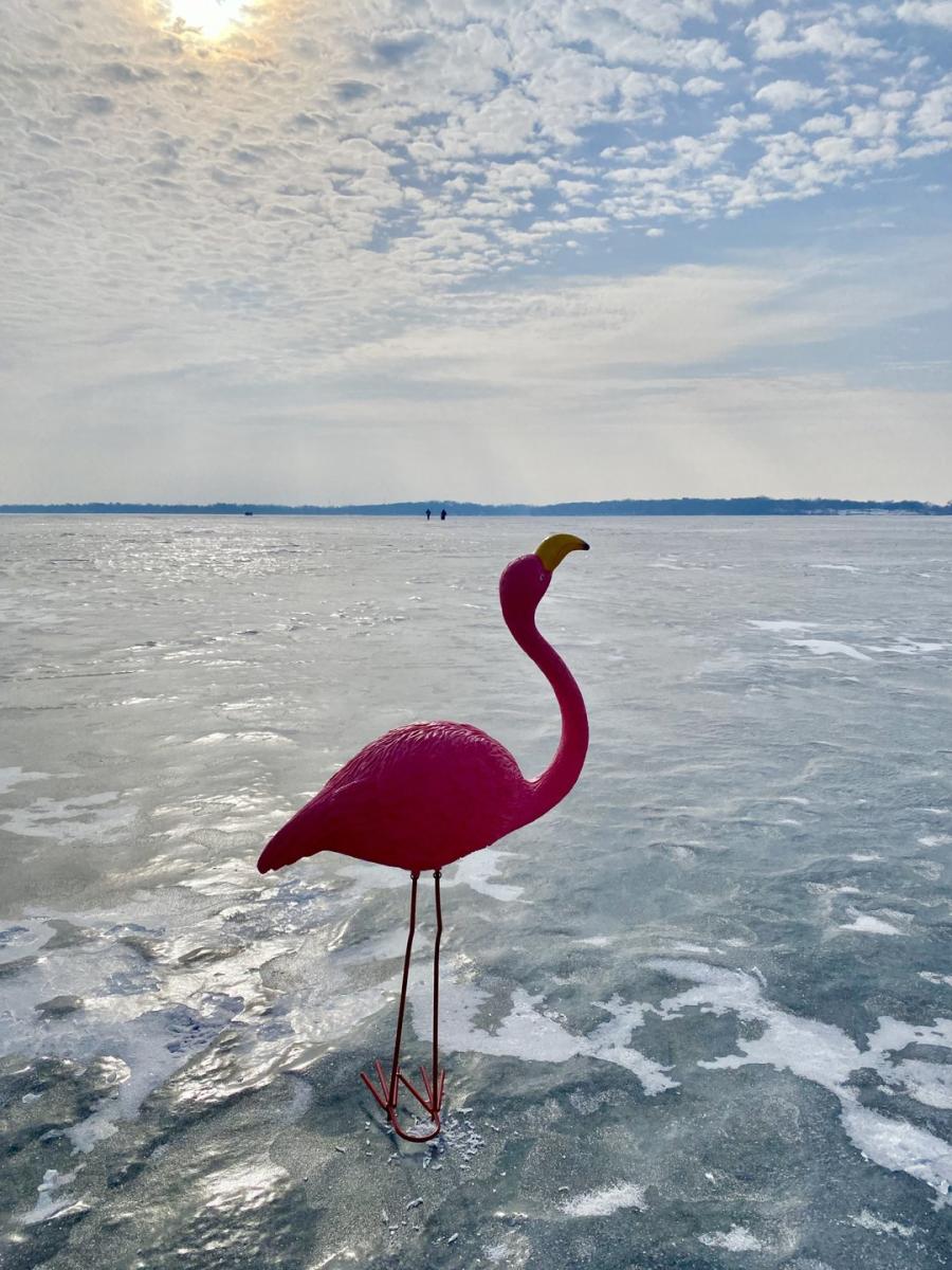 A plastic flamingo sits on a frozen lake