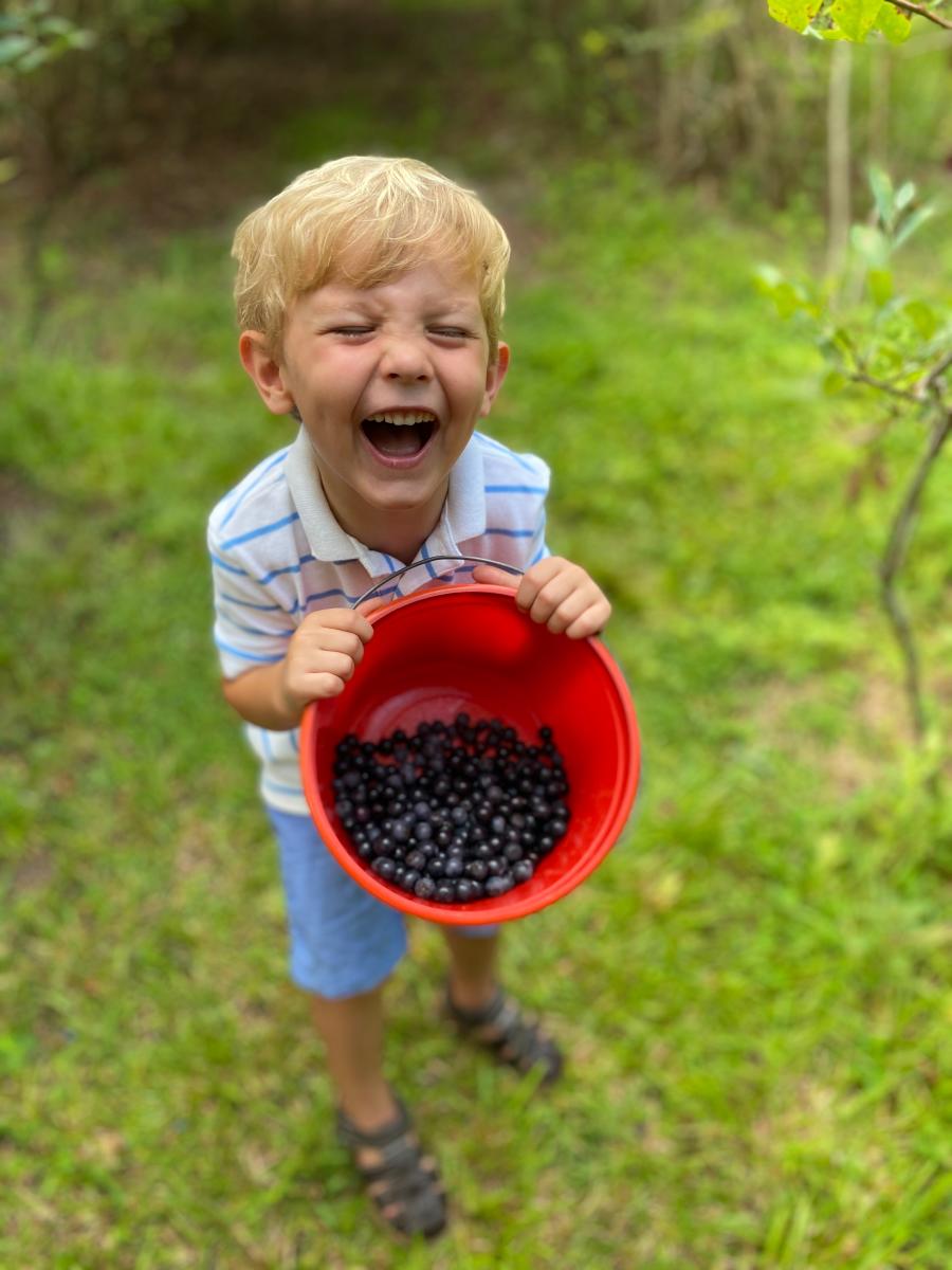 Potluck Blueberry Farm