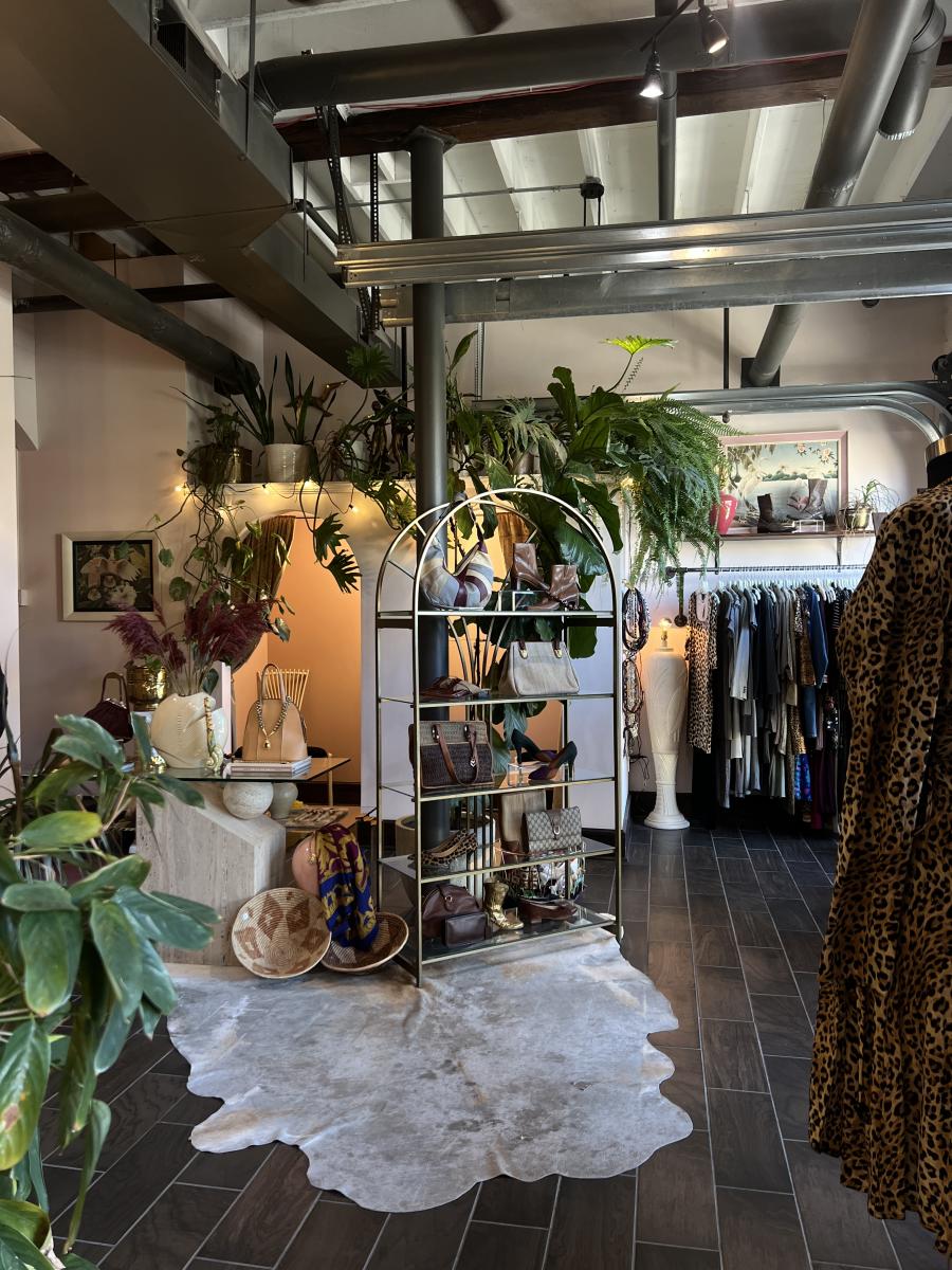 Boutique interior with an industrial ceiling and warm lighting, featuring racks of clothing, a leopard print dress in the foreground, and a central display of handbags and shoes surrounded by lush green plants and decorative accessories.