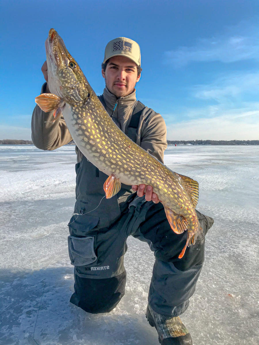 A person in winter attire holding a large Northern Pike while kneeling on a frozen Muskegon Lake.