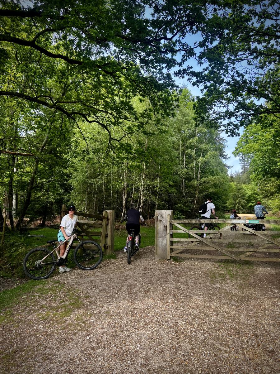 New Forest Cycling - Guest Blog 3