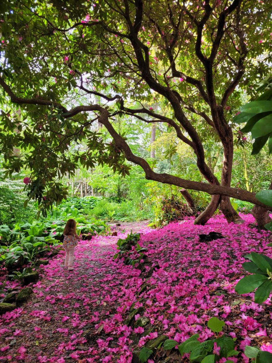 Furzey Gardens