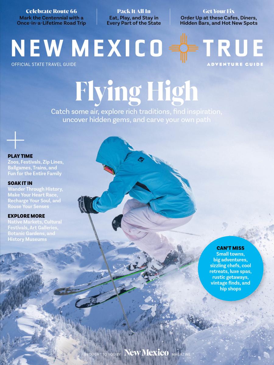 Official travel guide cover for New Mexico, titled "Flying High," features vibrant images of landscapes and activities like zip lining and hot air ballooning.