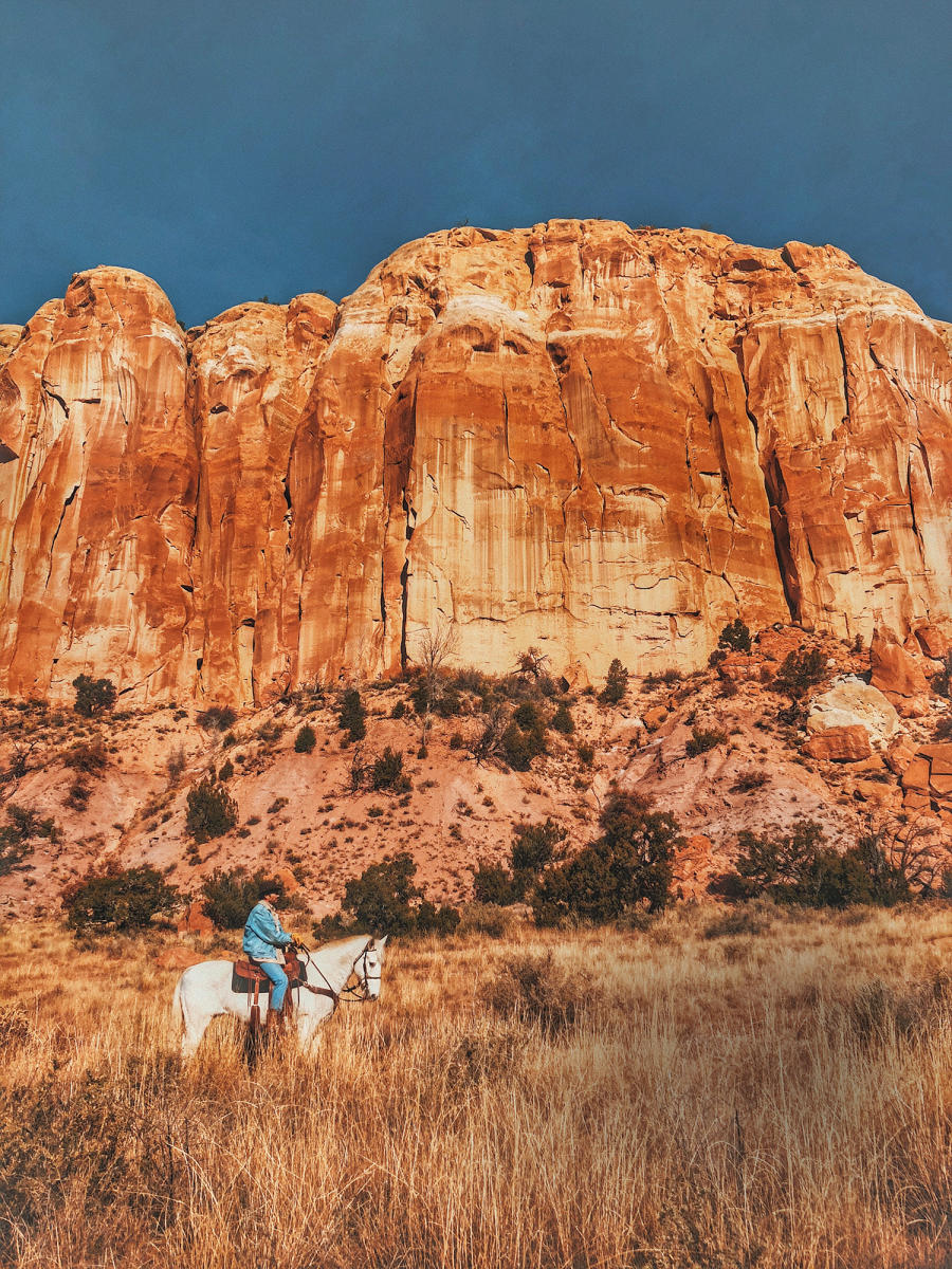 Horseback Riding in New Mexico