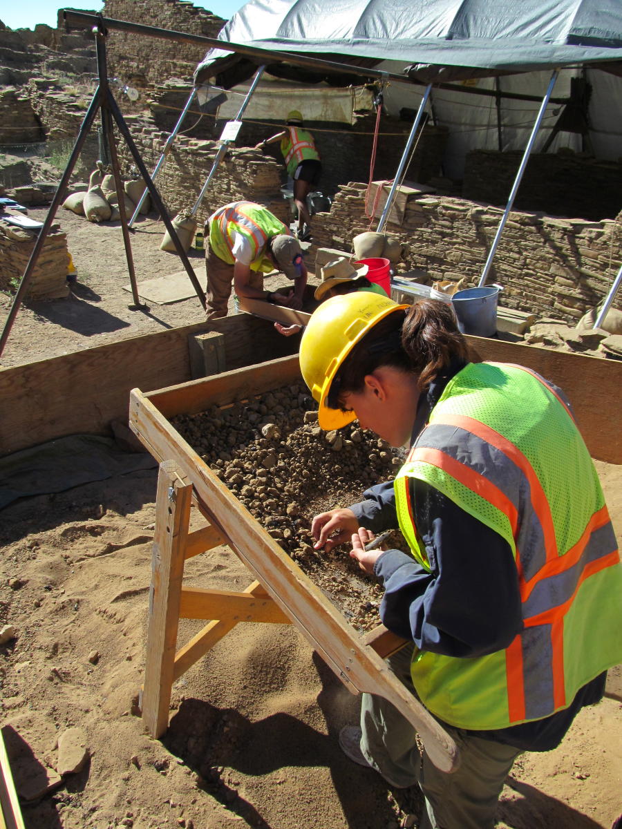 Patricia L. Crown’s research team at Chaco Canyon