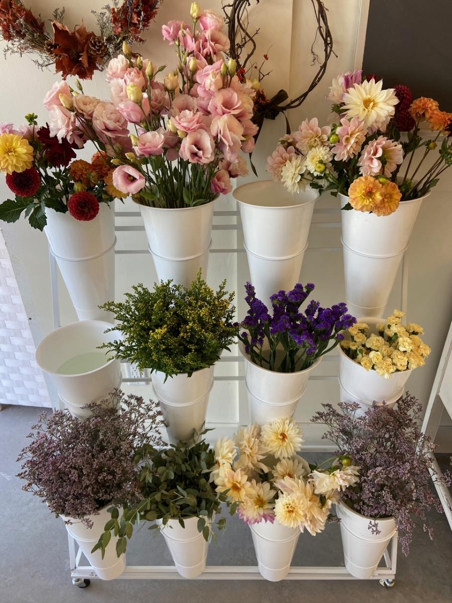 Bloomtique Flower Farm
