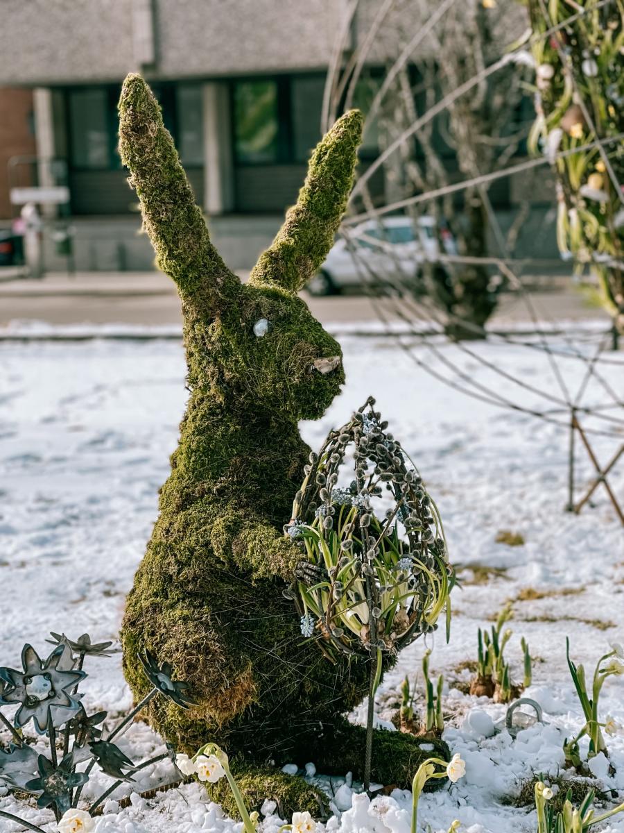 Påskehare laget i mose og blomster i kirkeparken i Sarpsborg. Foto.