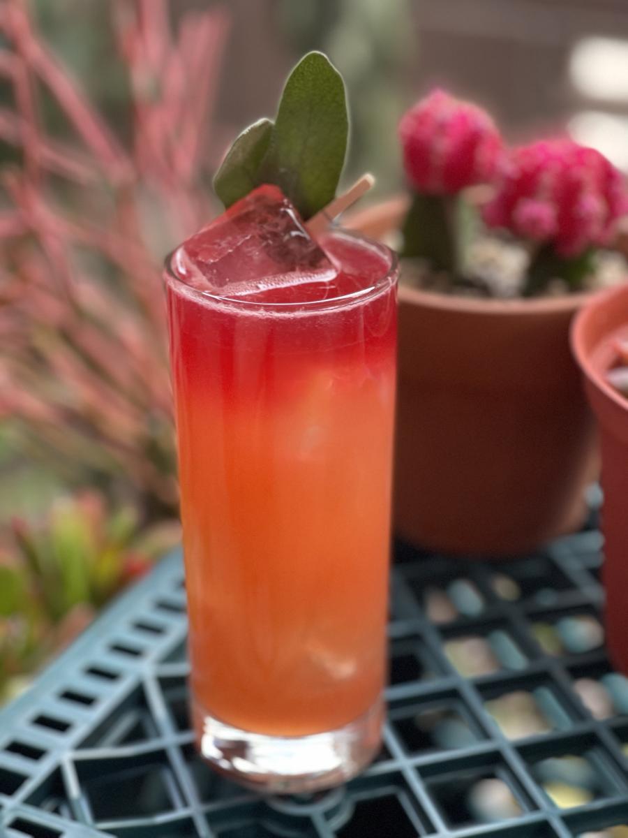 Arizona Sunset Cocktail