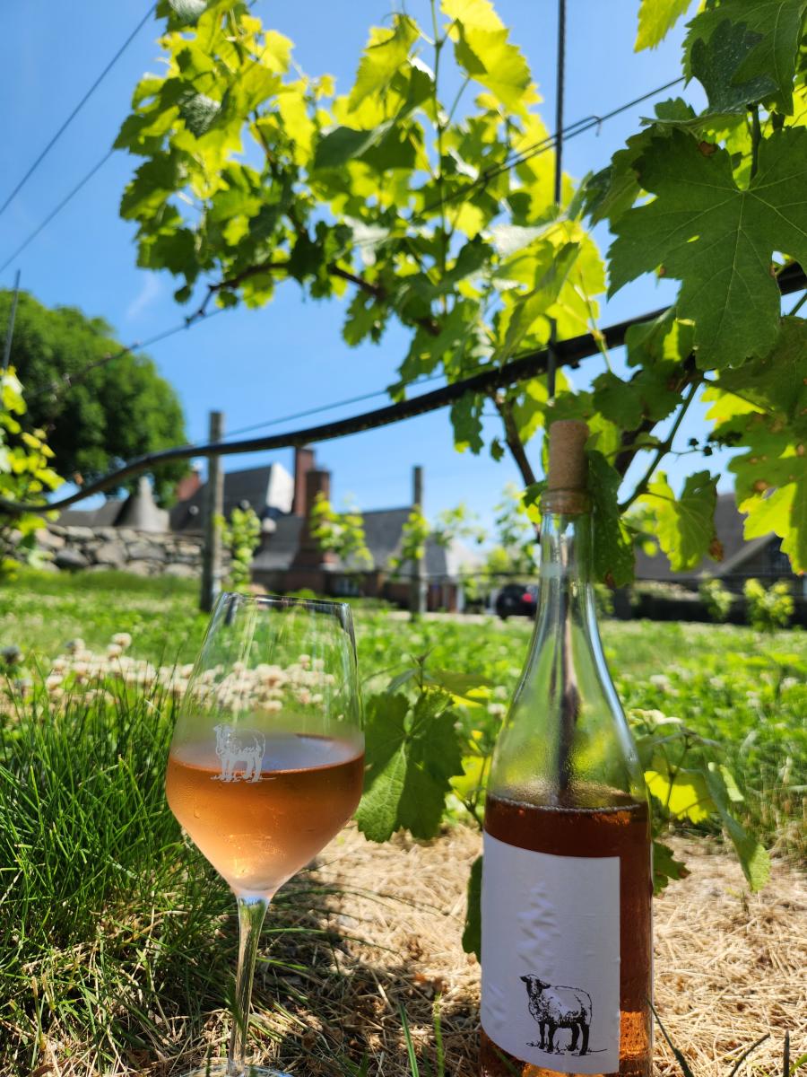 Wine glass and bottle at Shepherd's Run vineyard