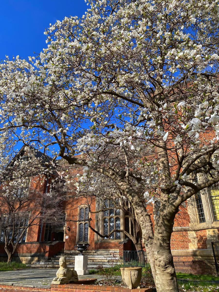 The Branch Museum Garden