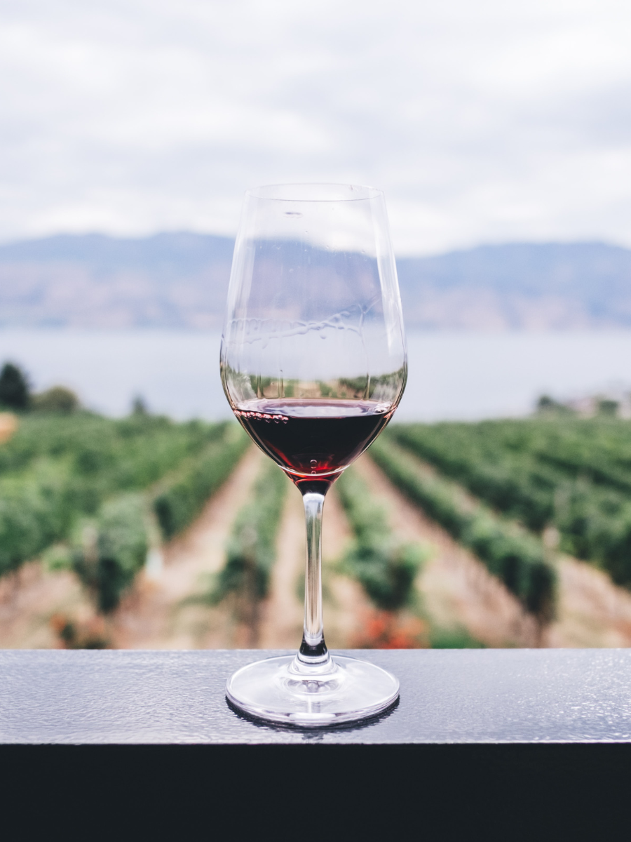 generic wine glass with vineyard backdrop