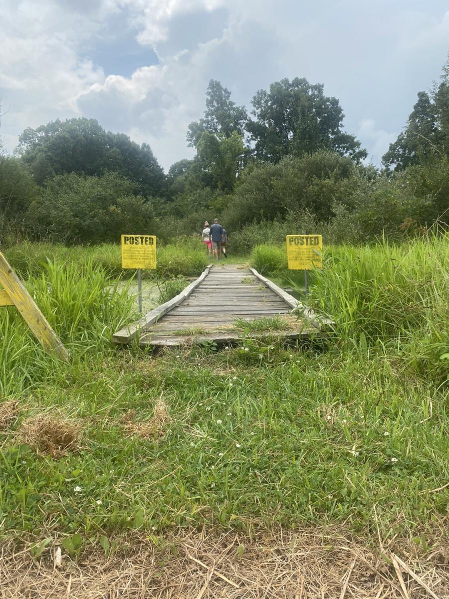 bridge going across beaver damn in wooded area and yellow posted signs