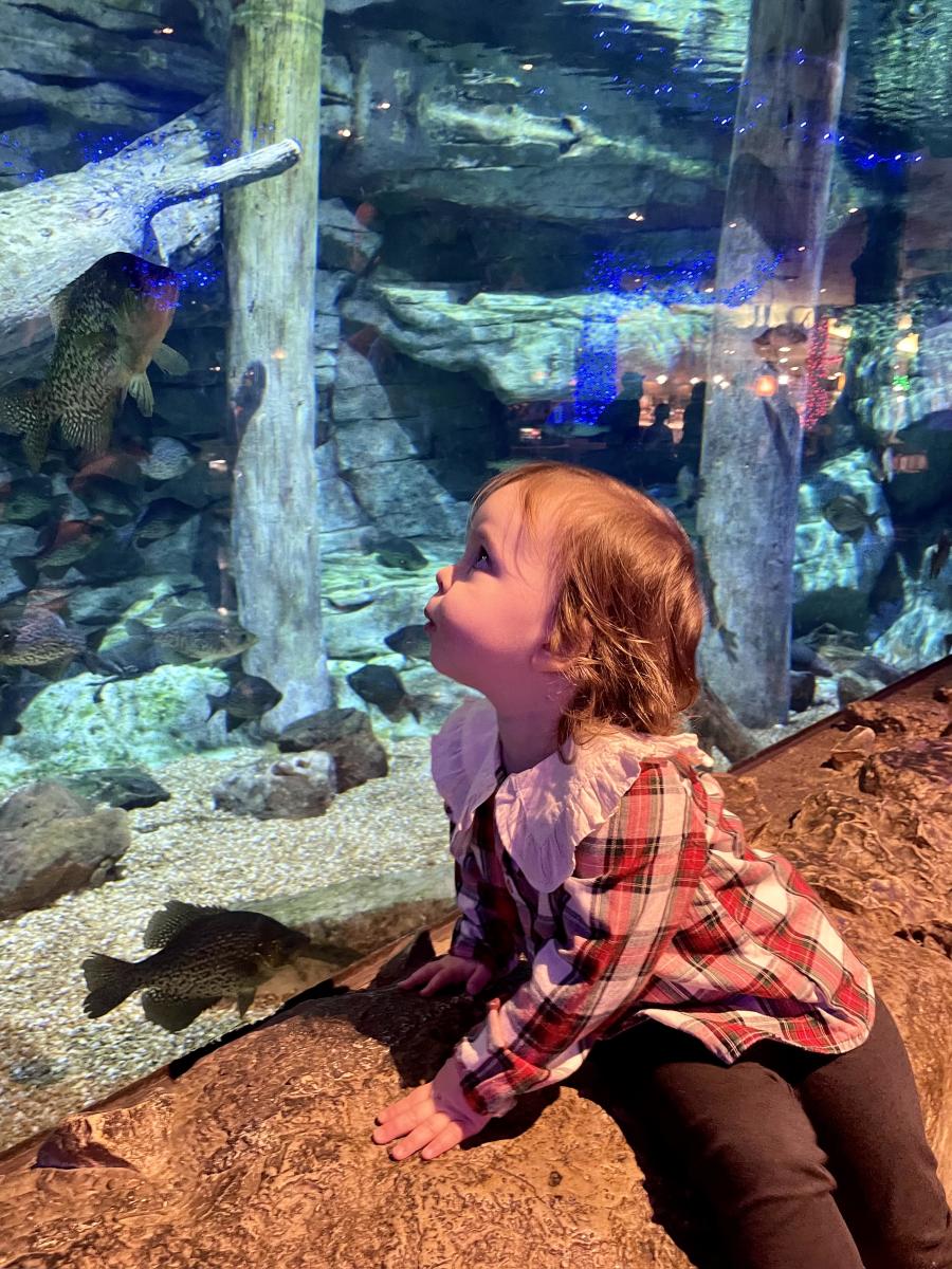 Child at Wonders of Wildlife