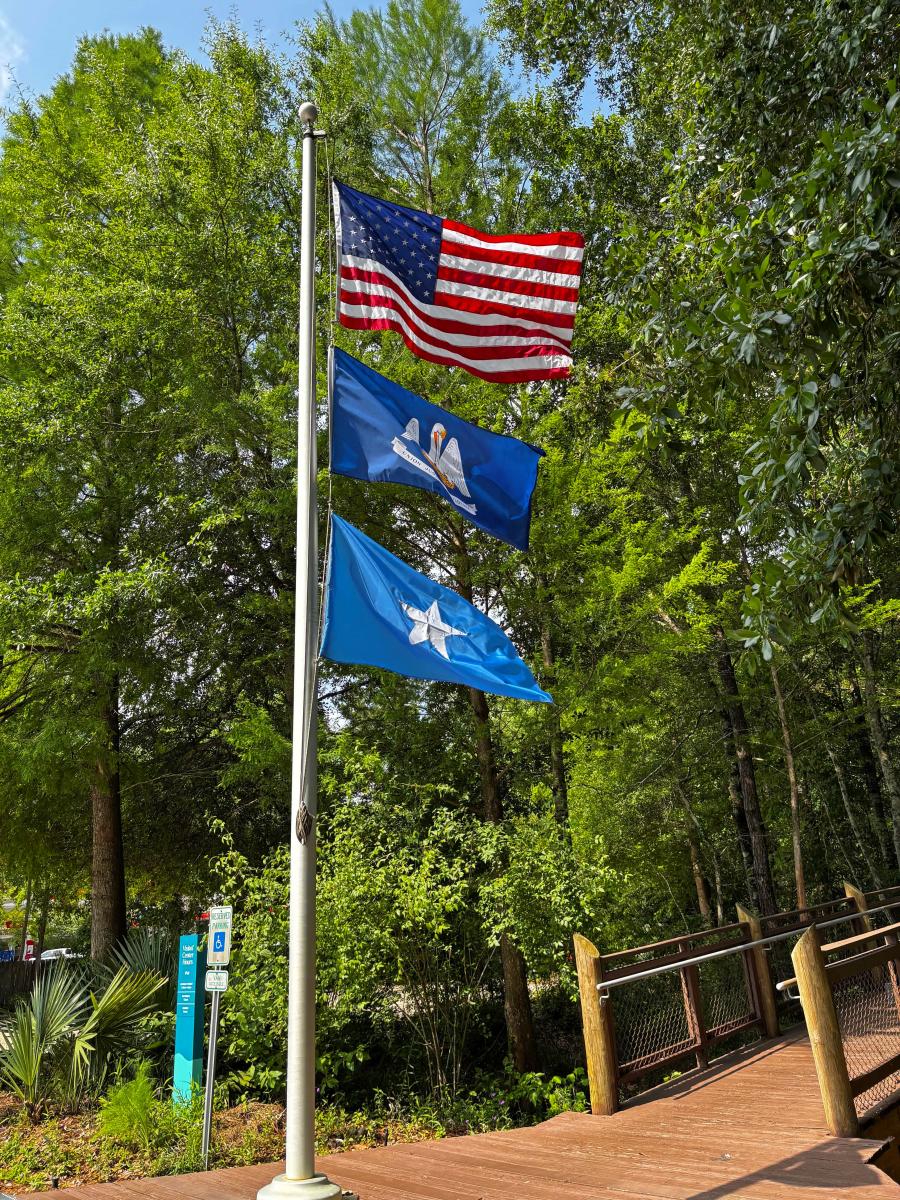 American, Louisiana and Visit The Northshore flags flying beside the boardwalk entrance at the Visit The Northshore Visitor Center in Mandeville, Louisiana.