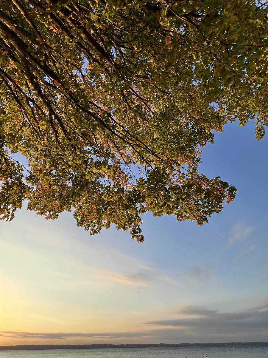 2024 fall color