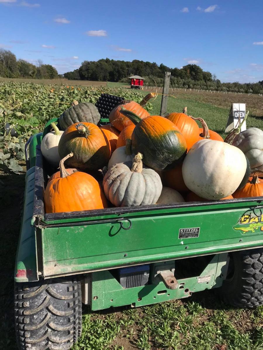 Smith Farms