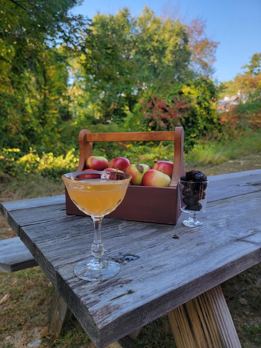 Cathedral Ledge Distillery Fig & Cider Martini