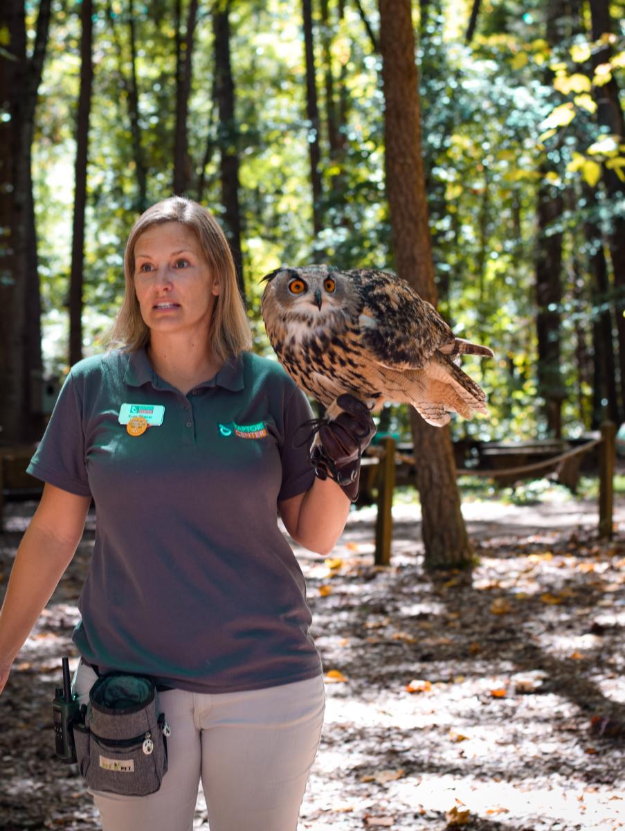 Carolina Raptor Center Owl