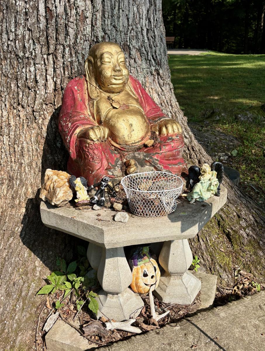 Tibetan Mongolian Buddhist Center Bloomington Buddha statue